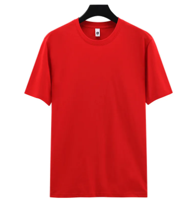 Heavyweight Japanese Cotton Unisex T-Shirt